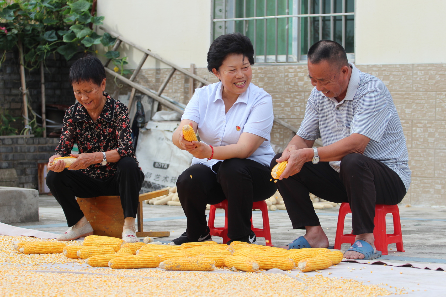 我是黨代表│查玉春：扎根鄉(xiāng)村21年，她是群眾貼心的“查老娘” 第 3 張