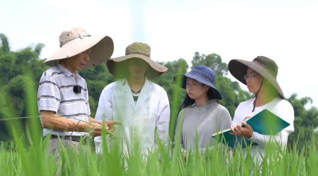 走在巴山蜀水間③國(guó)之重托 第 22 張