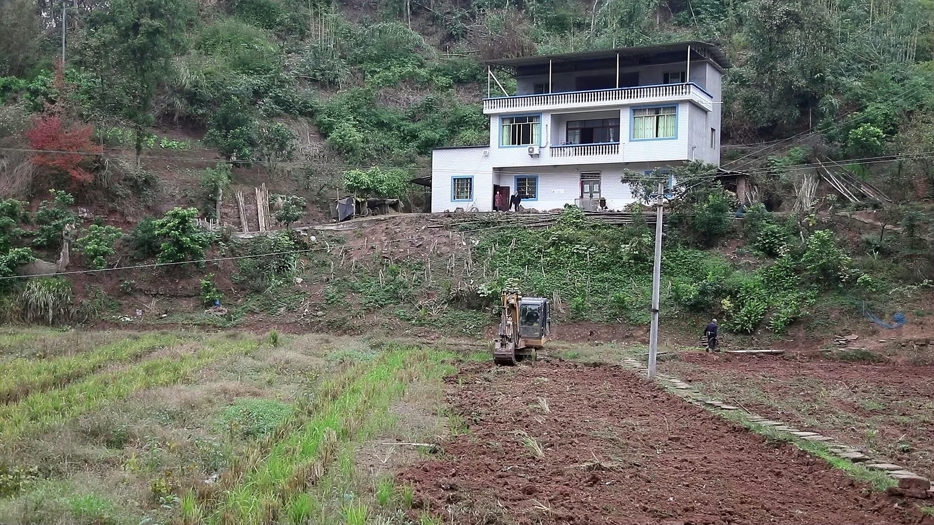 合江：喚醒“撂荒地”，繪就鄉(xiāng)村振興美景 第 2 張