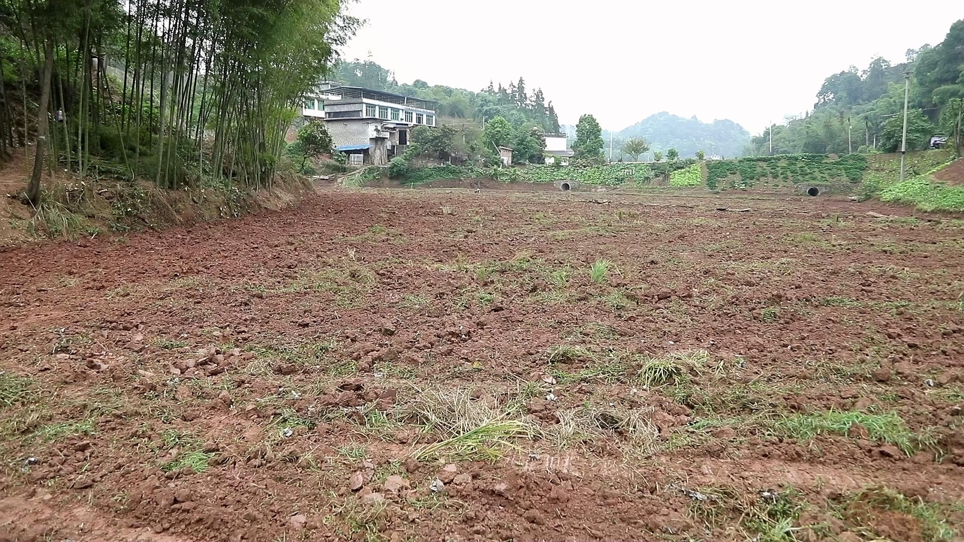 合江：喚醒“撂荒地”，繪就鄉(xiāng)村振興美景 第 5 張