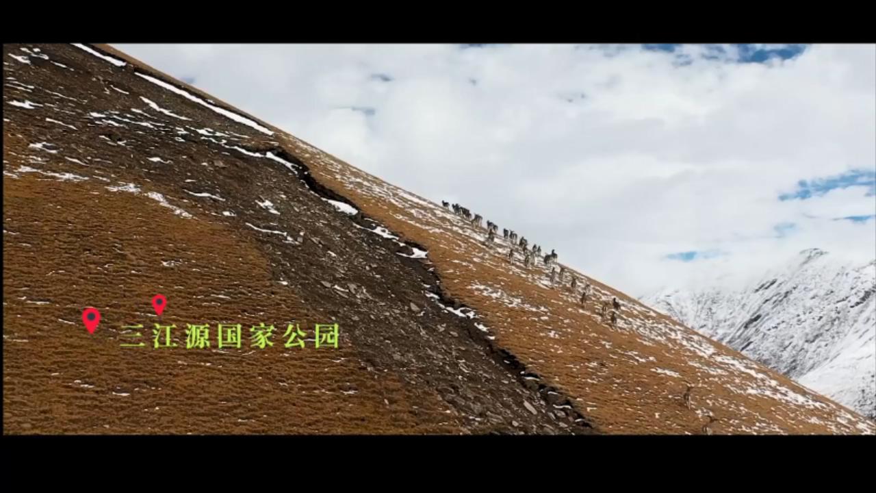 微紀(jì)錄丨國家公園這一年 第 2 張