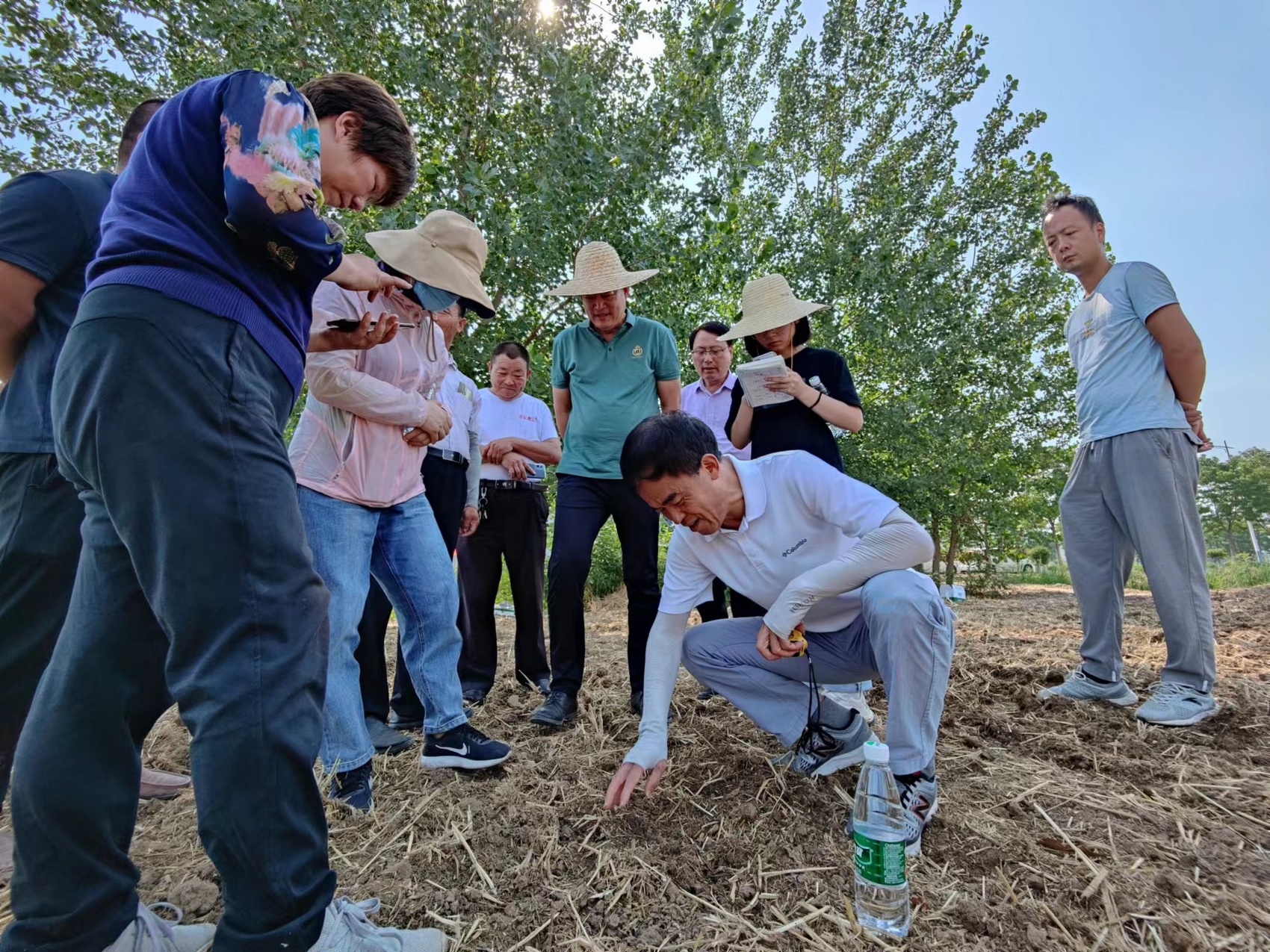 我是黨代表④丨楊文鈺：為護(hù)衛(wèi)國家糧油安全貢獻(xiàn)智慧力量 第 4 張