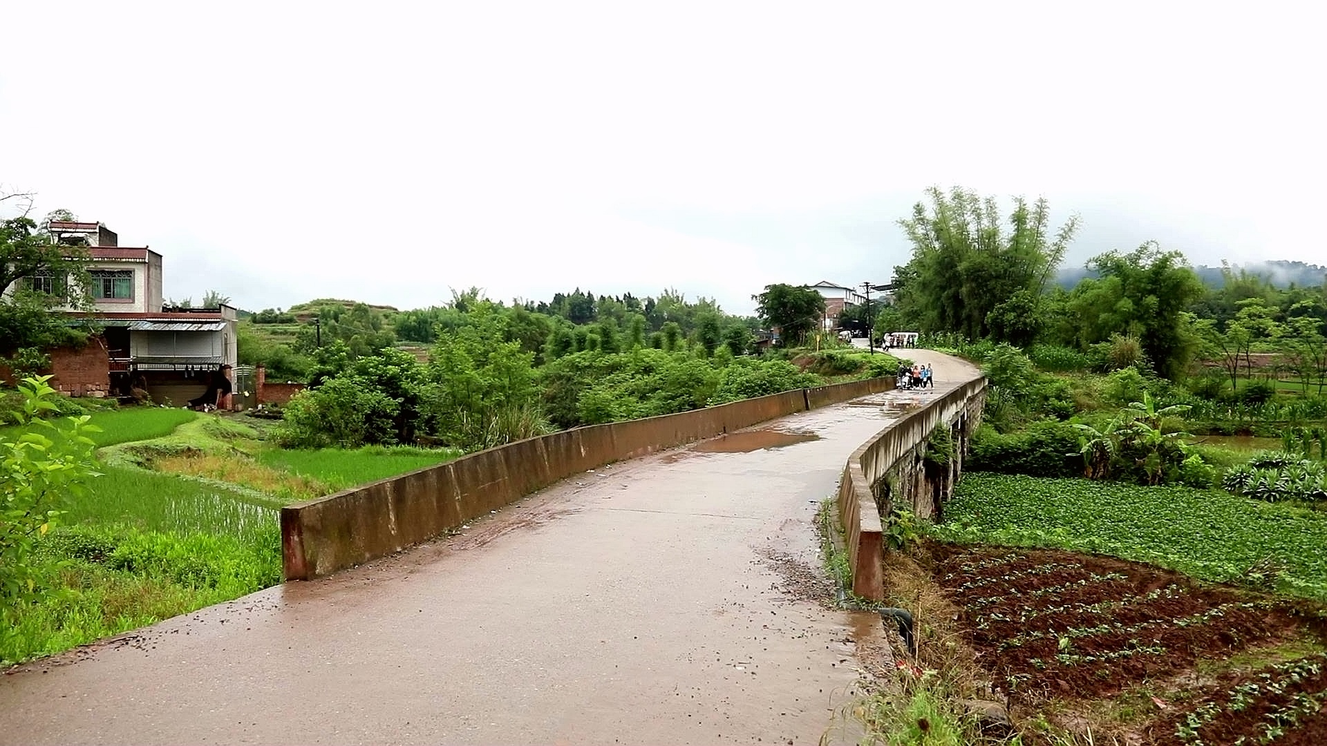 【行走川渝】（五）跨省“連心橋” 鄰里“一家人” 第 8 張