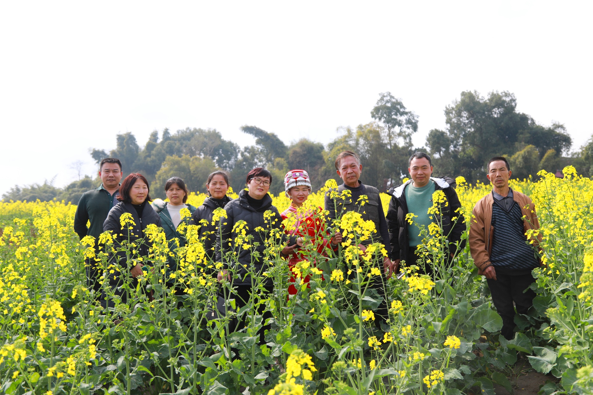  信息速遞 合江：油菜花開春意濃,，鄉(xiāng)村振興入畫來 第 3 張