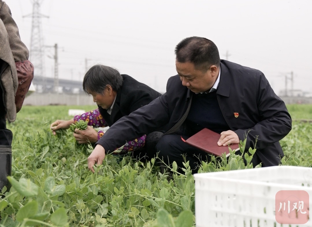 貫徹落實2023年全國兩會精神｜李雪平：多種糧、種好糧,，把糧食生產(chǎn)抓緊抓牢 第 2 張