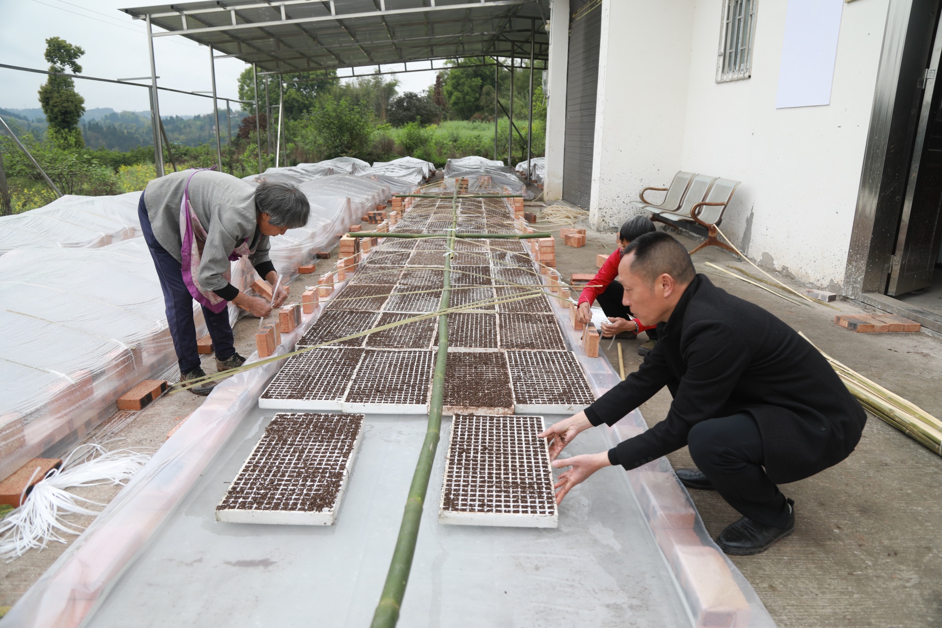 四川合江：自制小農(nóng)具，農(nóng)耕大智慧 第 3 張