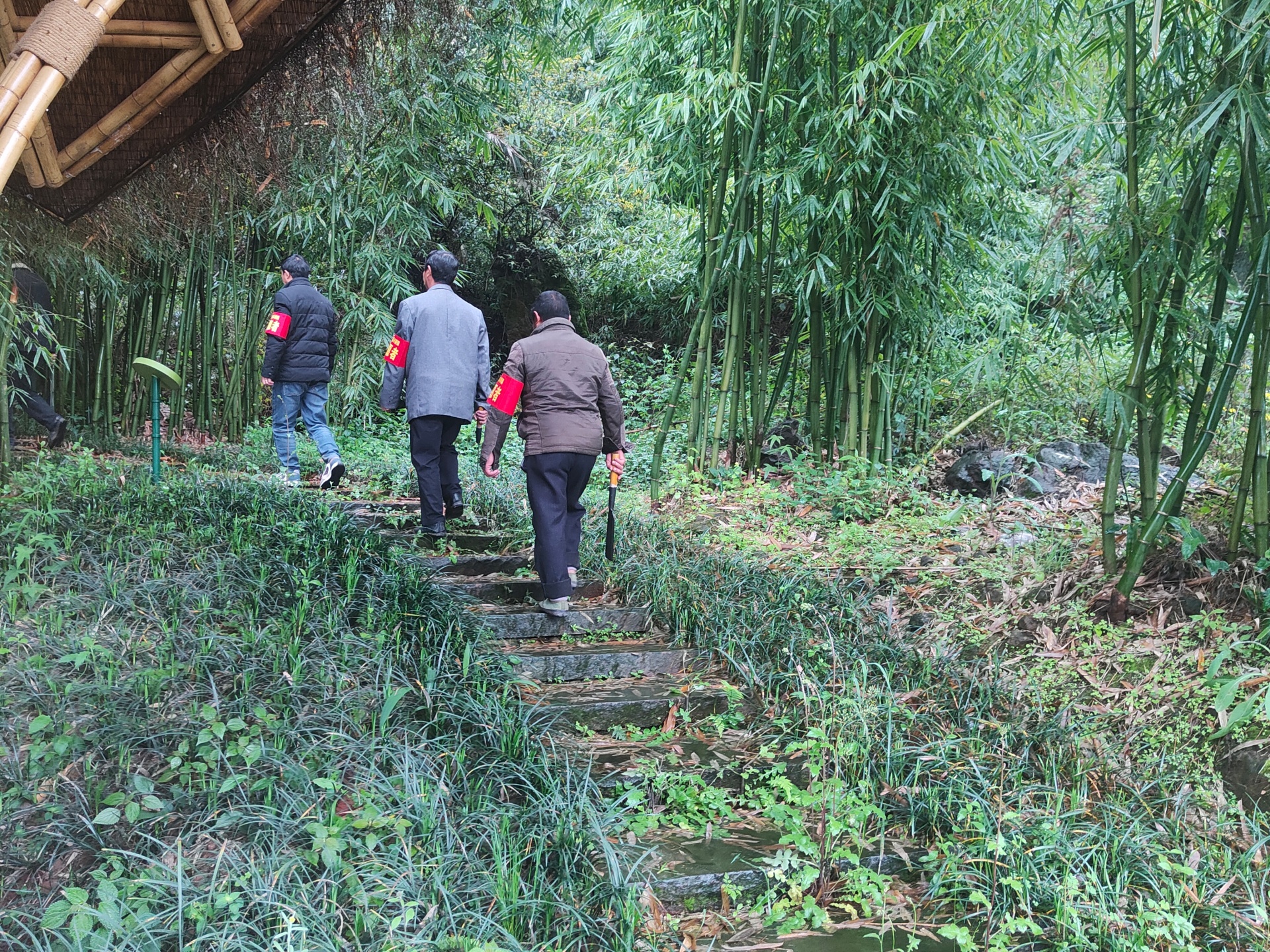 合江：抓牢森林防火,，留住綠水青山 第 12 張