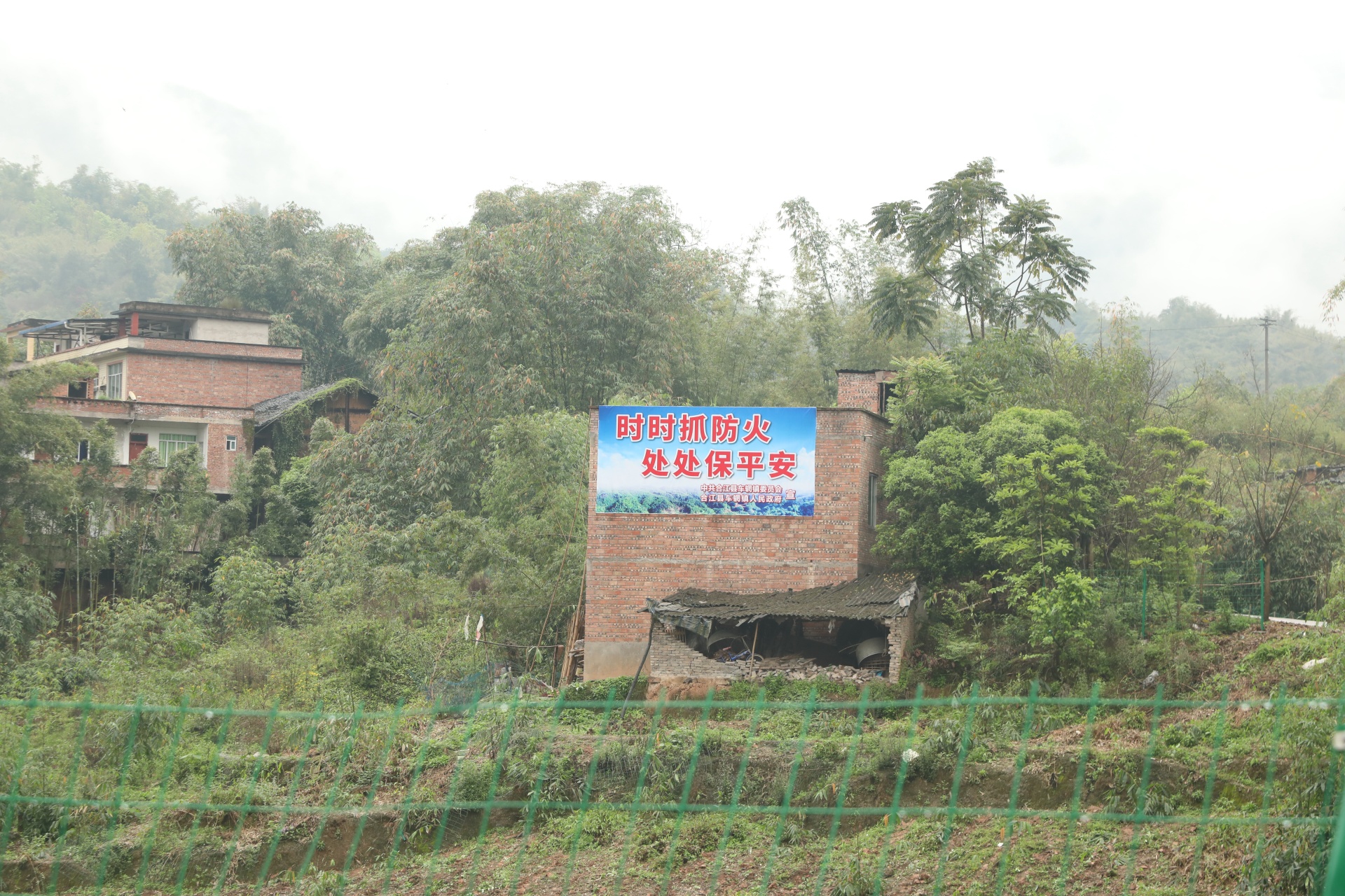 合江：抓牢森林防火，留住綠水青山 第 7 張