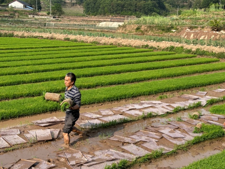 合江縣白鹿鎮(zhèn)：川渝毗鄰促學(xué)習(xí)，科技興農(nóng)助振興 第 4 張