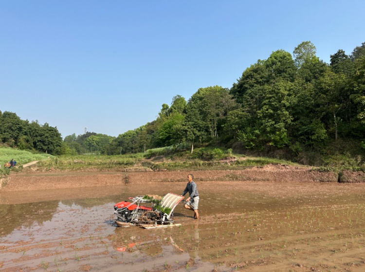 合江縣白鹿鎮(zhèn)：川渝毗鄰促學(xué)習(xí)，科技興農(nóng)助振興 第 5 張