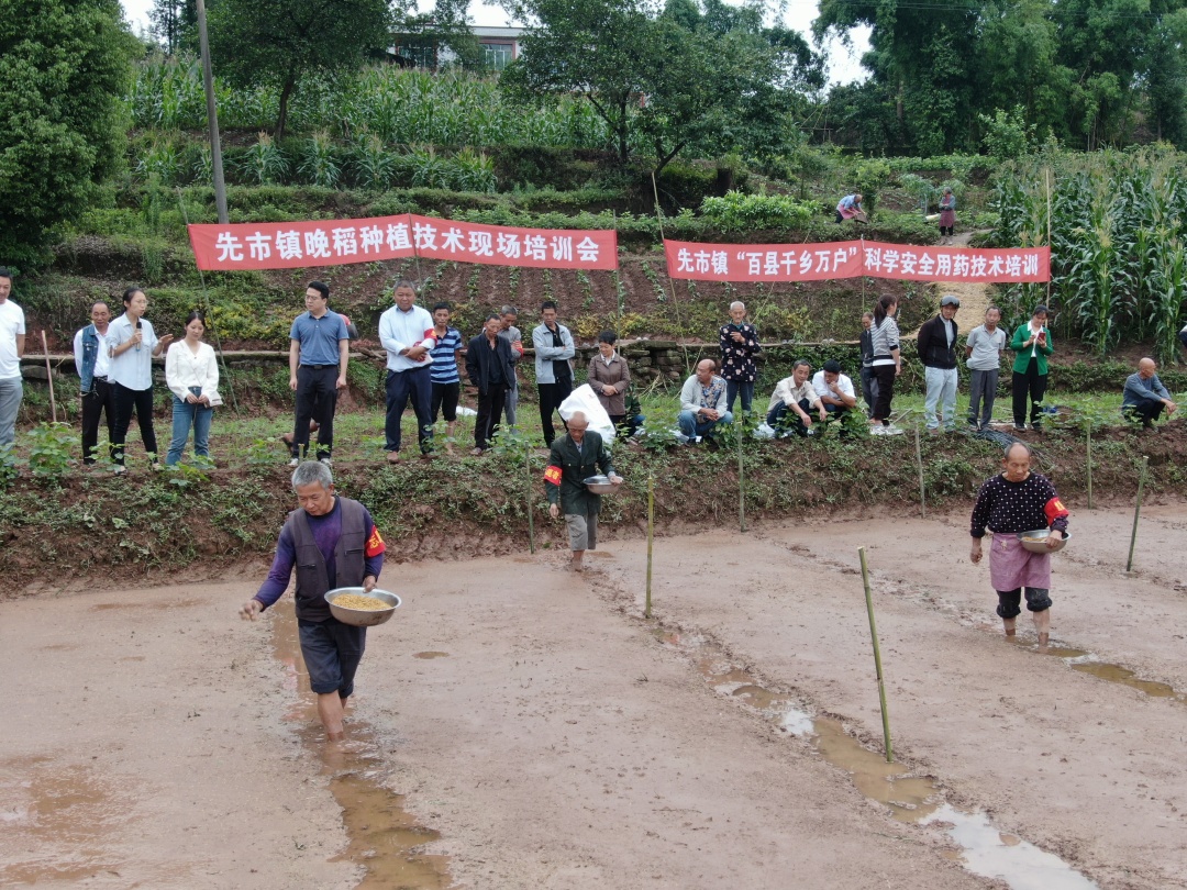 合江縣先市鎮(zhèn)：芒種時節(jié)農(nóng)耕忙,， 晚稻種植正當(dāng)時 第 2 張