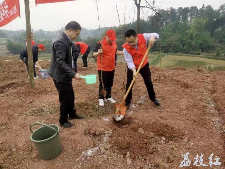 義務(wù)植樹添新綠，退役軍人在行動 第 2 張