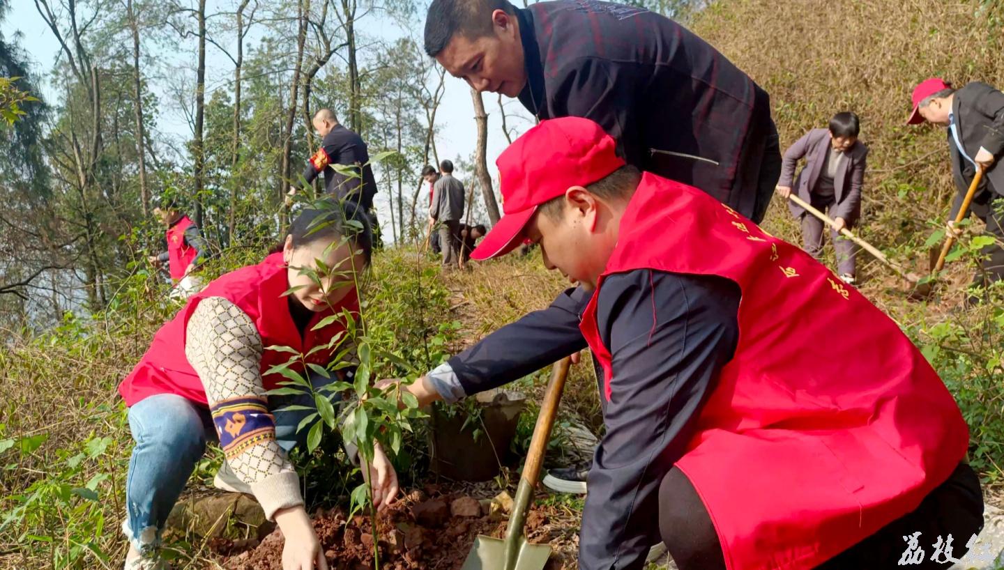 義務(wù)植樹添新綠,，退役軍人在行動 第 3 張