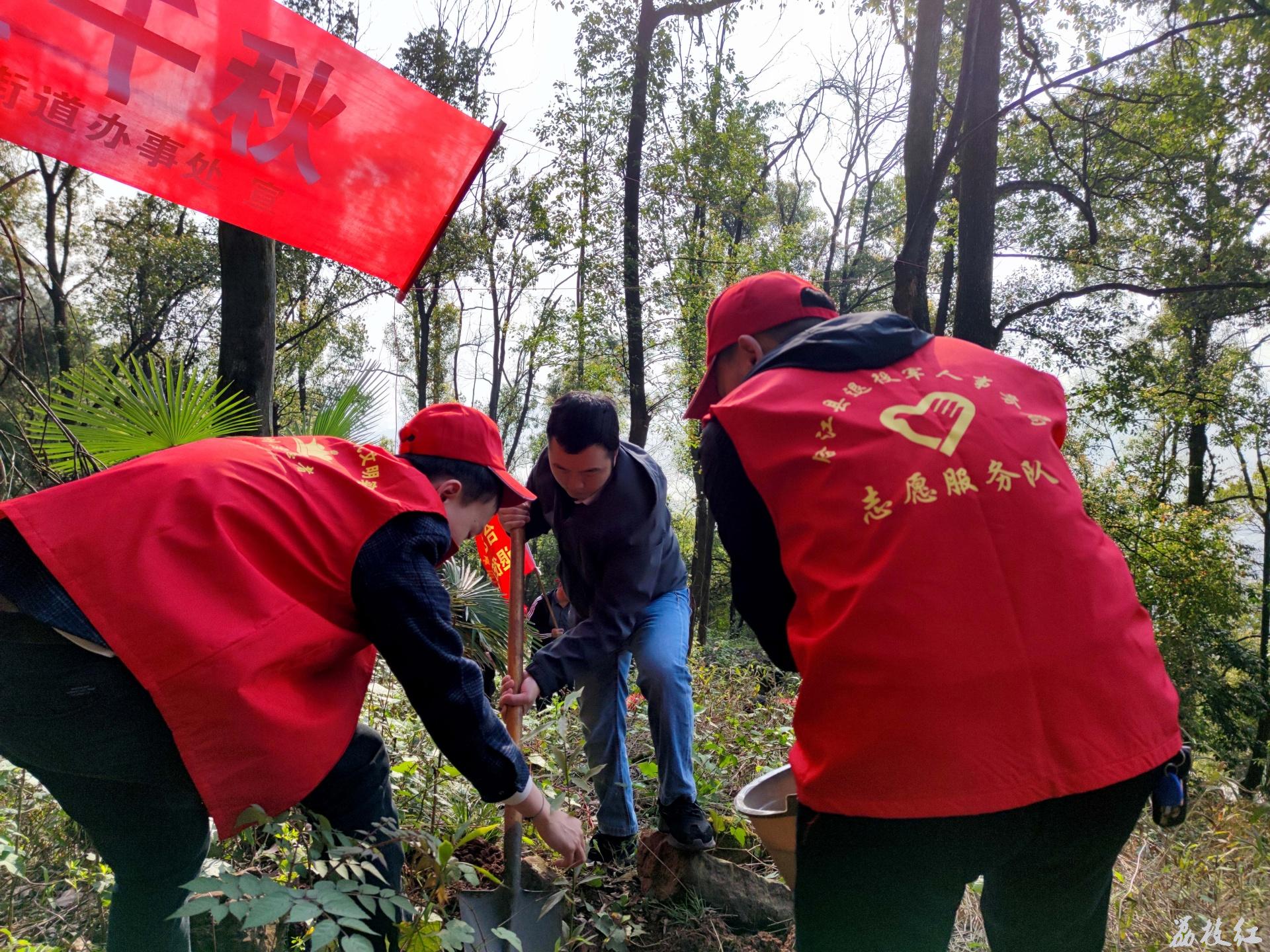 義務(wù)植樹添新綠,，退役軍人在行動 第 4 張