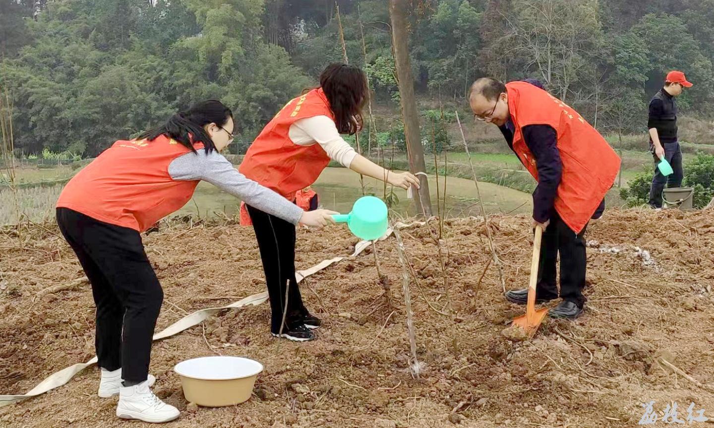 義務(wù)植樹添新綠，退役軍人在行動 第 5 張