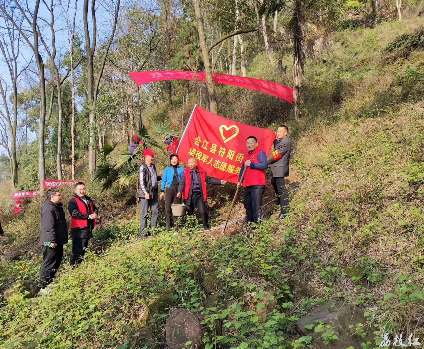 義務(wù)植樹添新綠,，退役軍人在行動 第 6 張