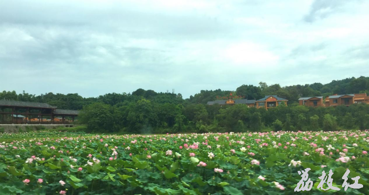 依青山,、傍綠水的少數(shù)民族村寨——九支鎮(zhèn)李咀村 第 1 張