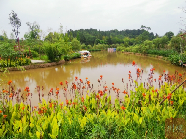 水土流失面積強(qiáng)度持續(xù)雙降,！四川開創(chuàng)水土保持新篇章 第 2 張