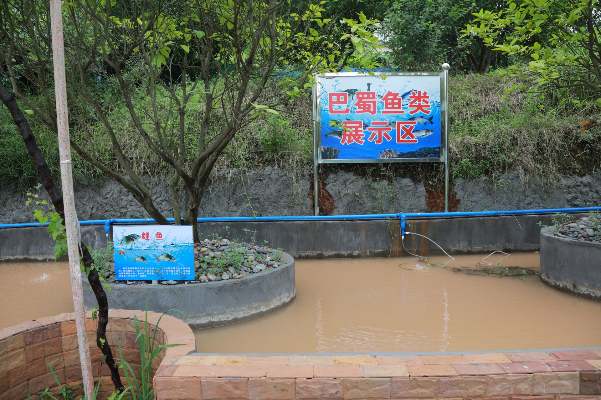 拼經濟搞建設丨合江縣稻鄉(xiāng)村基地項目基本完工 9月投用 第 6 張