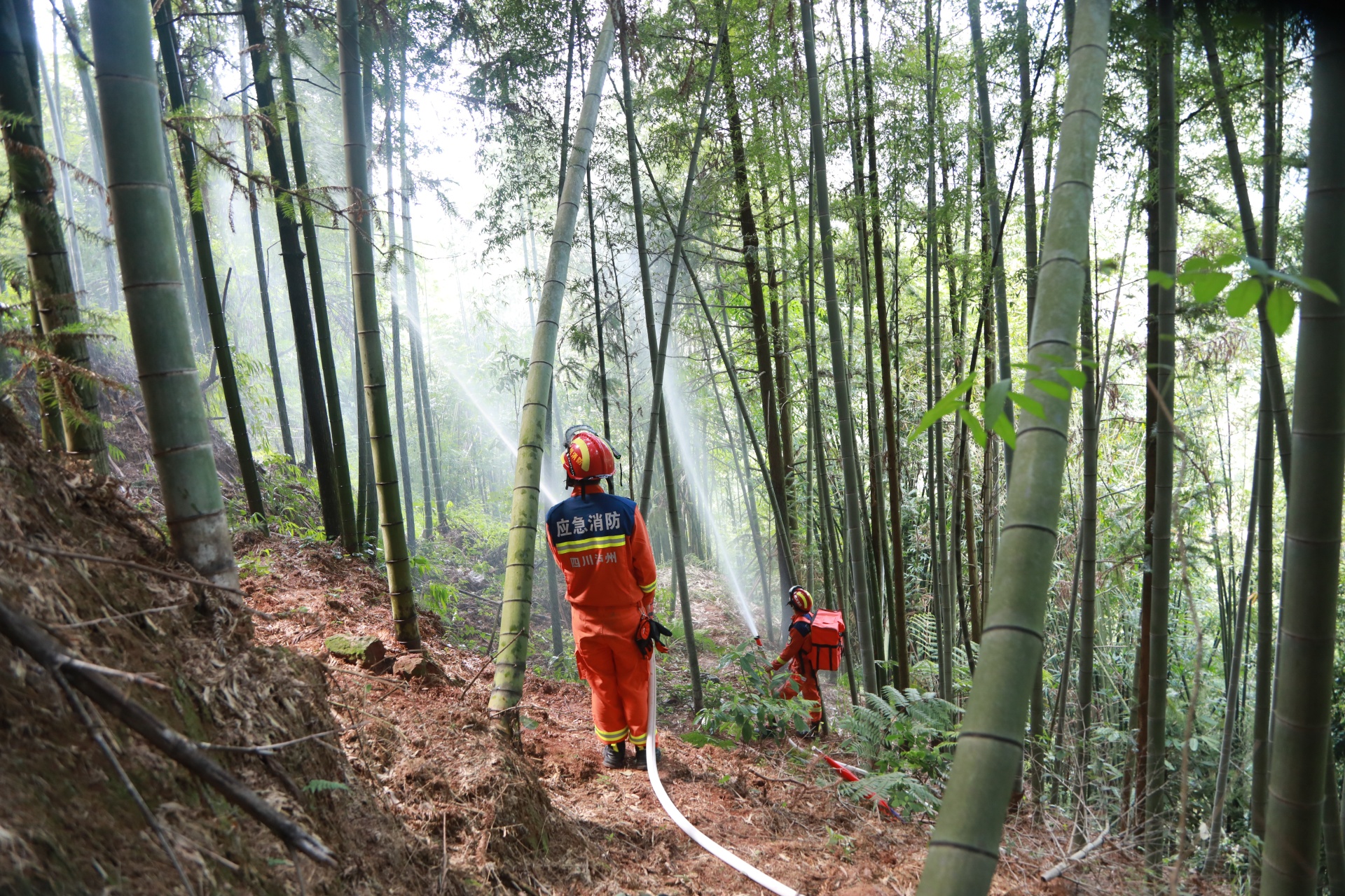 合江縣消防救援大隊組織開展森林火災(zāi)撲救實戰(zhàn)拉動演練 第 6 張